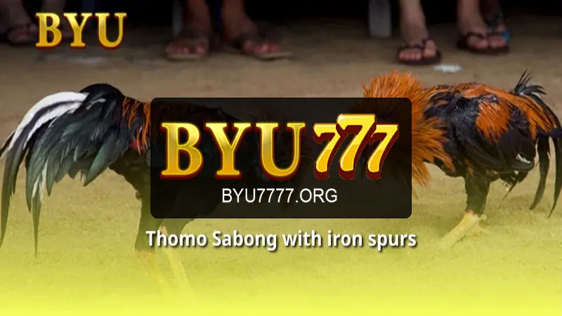 byu777.com - Ano ang byu777.com? Isang Pambansang Gaming Platform 2